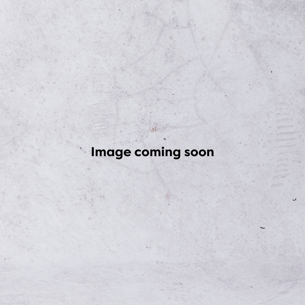 Stainless Steel Slice Tray