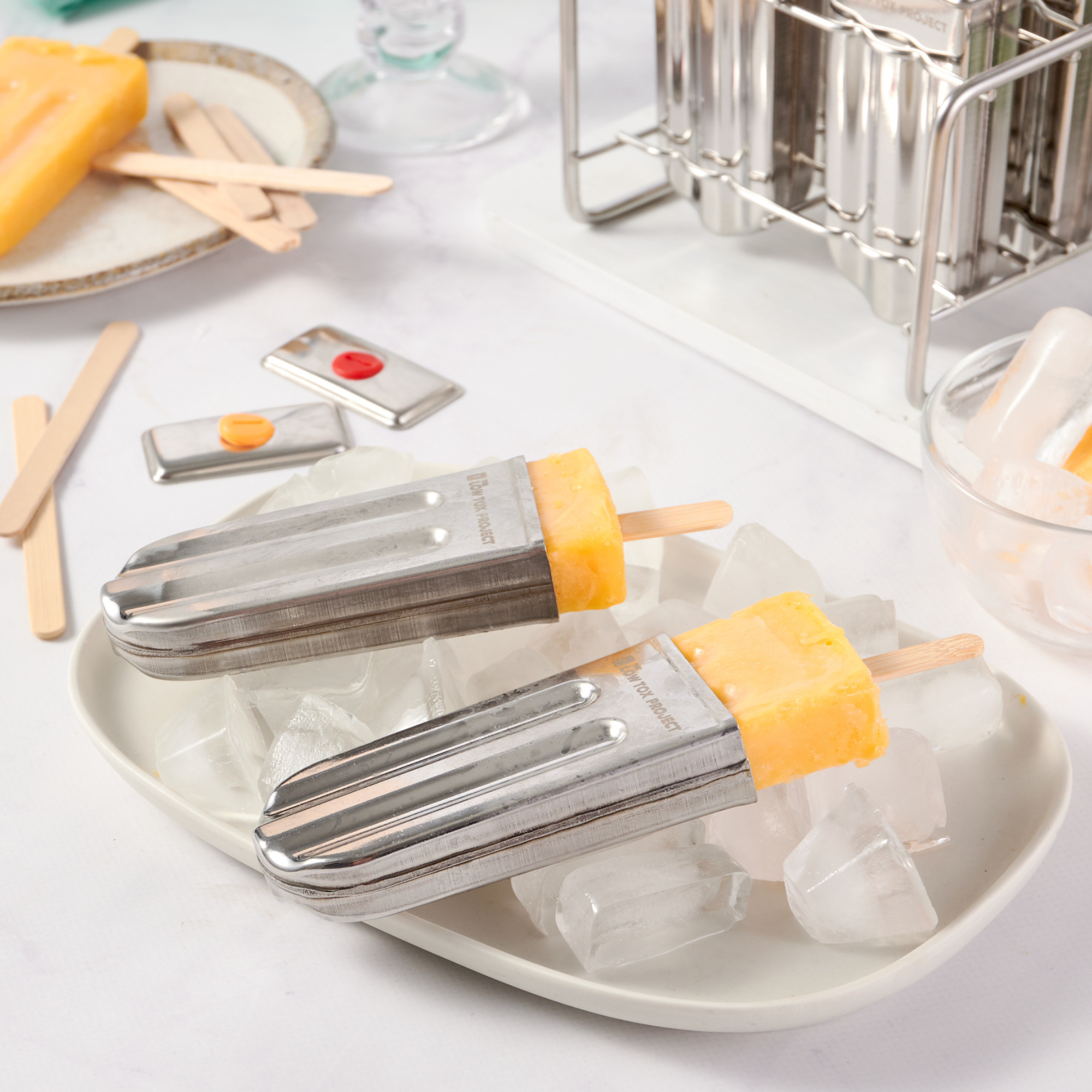 Ice Block Mould Stainless Steel  - 6